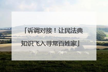 诉调对接！让民法典知识飞入寻常百姓家