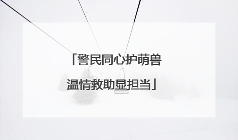 警民同心护萌兽 温情救助显担当