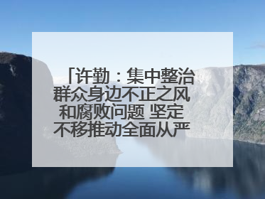 许勤：集中整治群众身边不正之风和腐败问题 坚定不移推动全面从严治党向基层延伸