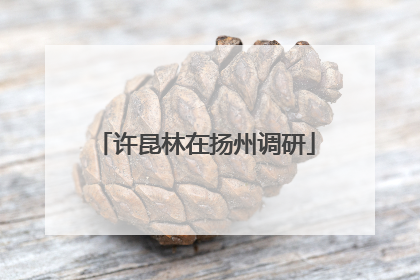 许昆林在扬州调研