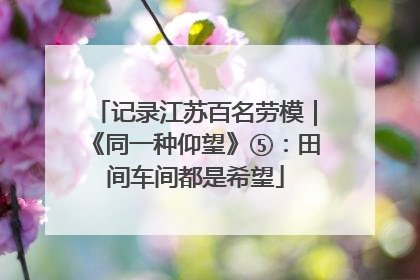 记录江苏百名劳模｜《同一种仰望》⑤：田间车间都是希望