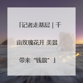 记者走基层｜千亩玫瑰花开 美景带来“钱景”