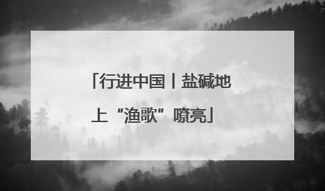 行进中国丨盐碱地上“渔歌”嘹亮