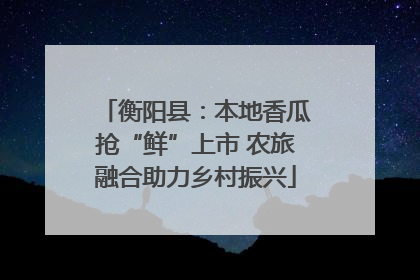 衡阳县：本地香瓜抢“鲜”上市 农旅融合助力乡村振兴
