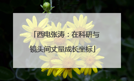 西电张涛：在科研与镜头间丈量成长坐标