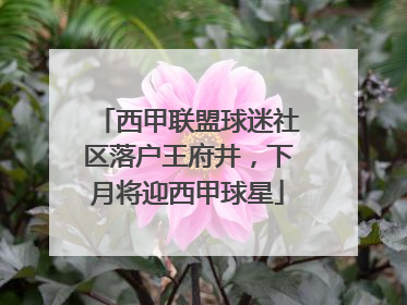 西甲联盟球迷社区落户王府井，下月将迎西甲球星