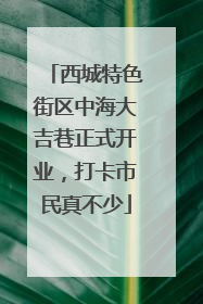 西城特色街区中海大吉巷正式开业，打卡市民真不少