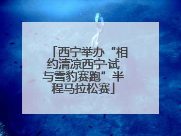 西宁举办“相约清凉西宁·试与雪豹赛跑”半程马拉松赛