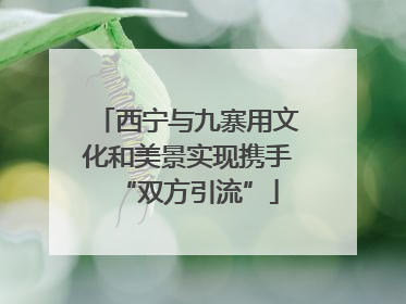 西宁与九寨用文化和美景实现携手“双方引流”