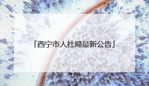 西宁市人社局最新公告