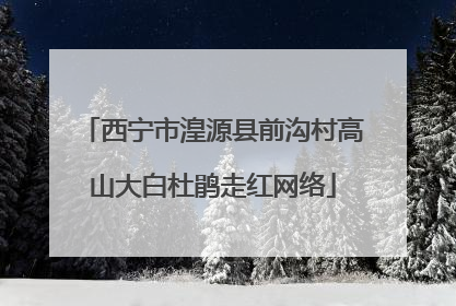 西宁市湟源县前沟村高山大白杜鹃走红网络