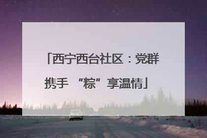 西宁西台社区：党群携手 “粽”享温情