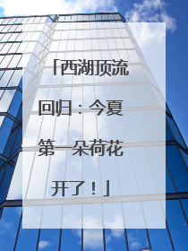 西湖顶流回归：今夏第一朵荷花开了！