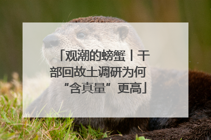 观潮的螃蟹丨干部回故土调研为何“含真量”更高