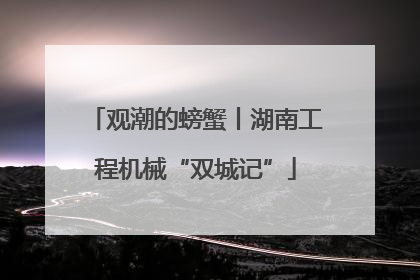 观潮的螃蟹丨湖南工程机械“双城记”
