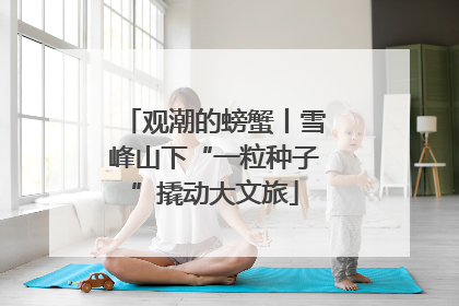 观潮的螃蟹丨雪峰山下“一粒种子”撬动大文旅