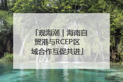 观海潮｜海南自贸港与RCEP区域合作互促共进