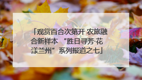 观赏百合次第开 农旅融合新样本 “胜日寻芳·花漾兰州”系列报道之七