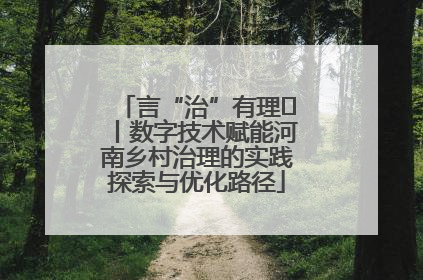 言“治”有理⑪丨数字技术赋能河南乡村治理的实践探索与优化路径