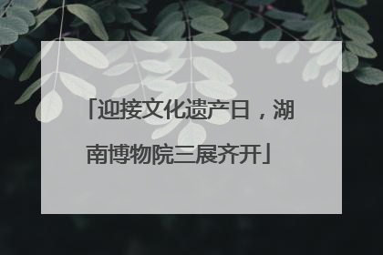 迎接文化遗产日，湖南博物院三展齐开