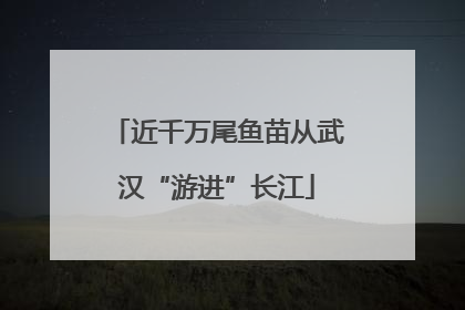 近千万尾鱼苗从武汉“游进”长江