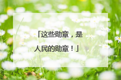 这些勋章，是人民的勋章！