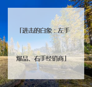 进击的白象：左手爆品、右手经销商