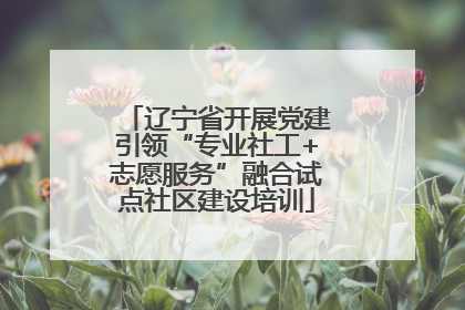 辽宁省开展党建引领“专业社工+志愿服务”融合试点社区建设培训