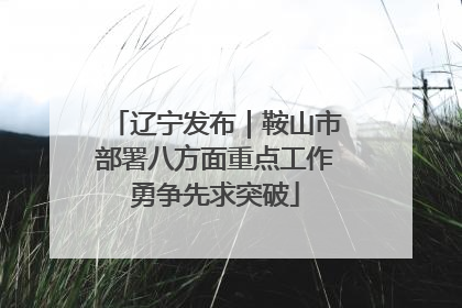辽宁发布｜鞍山市部署八方面重点工作勇争先求突破