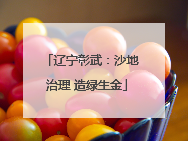 辽宁彰武：沙地治理 造绿生金