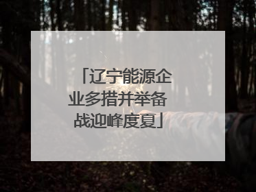 辽宁能源企业多措并举备战迎峰度夏
