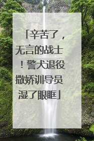 辛苦了，无言的战士！警犬退役撒娇训导员湿了眼眶