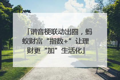 谐音梗联动出圈，蚂蚁财富“指数+”让理财更“加”生活化