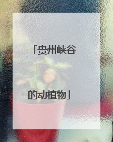 贵州峡谷的动植物