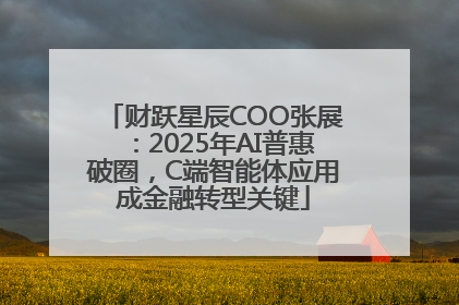财跃星辰COO张展：2025年AI普惠破圈，C端智能体应用成金融转型关键
