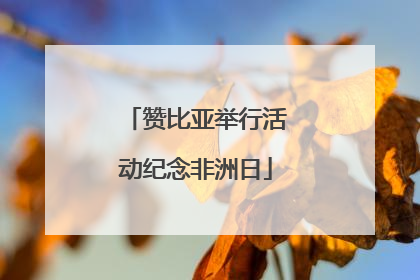 赞比亚举行活动纪念非洲日