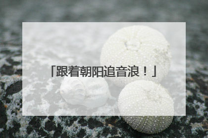 跟着朝阳追音浪！