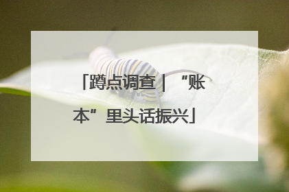 蹲点调查｜“账本”里头话振兴
