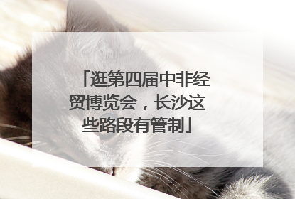 逛第四届中非经贸博览会，长沙这些路段有管制