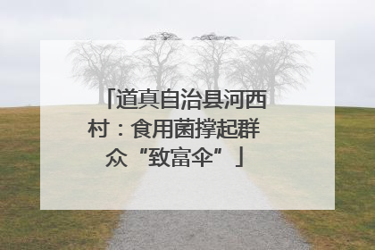 道真自治县河西村：食用菌撑起群众“致富伞”