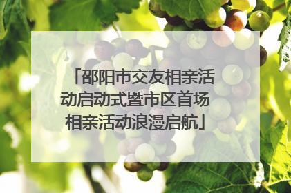 邵阳市交友相亲活动启动式暨市区首场相亲活动浪漫启航