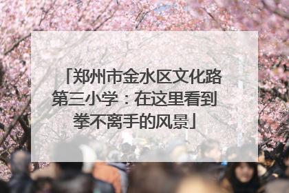 郑州市金水区文化路第三小学：在这里看到拳不离手的风景