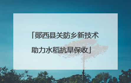 郧西县关防乡新技术助力水稻抗旱保收