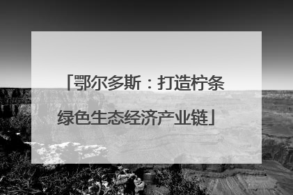 鄂尔多斯：打造柠条绿色生态经济产业链