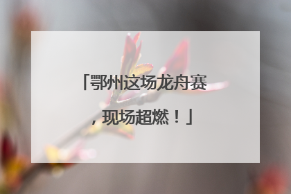 鄂州这场龙舟赛，现场超燃！