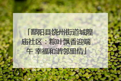 鄱阳县饶州街道城隍庙社区：粽叶飘香迎端午 幸福和谐邻里情