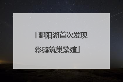 鄱阳湖首次发现彩鹮筑巢繁殖