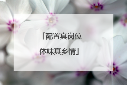 配置真岗位 体味真乡情