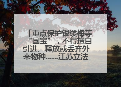 重点保护银缕梅等“国宝”，不得擅自引进、释放或丢弃外来物种……江苏立法保护身边的生物“朋友圈”