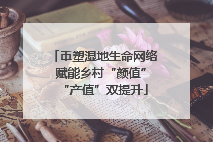 重塑湿地生命网络 赋能乡村“颜值”“产值”双提升